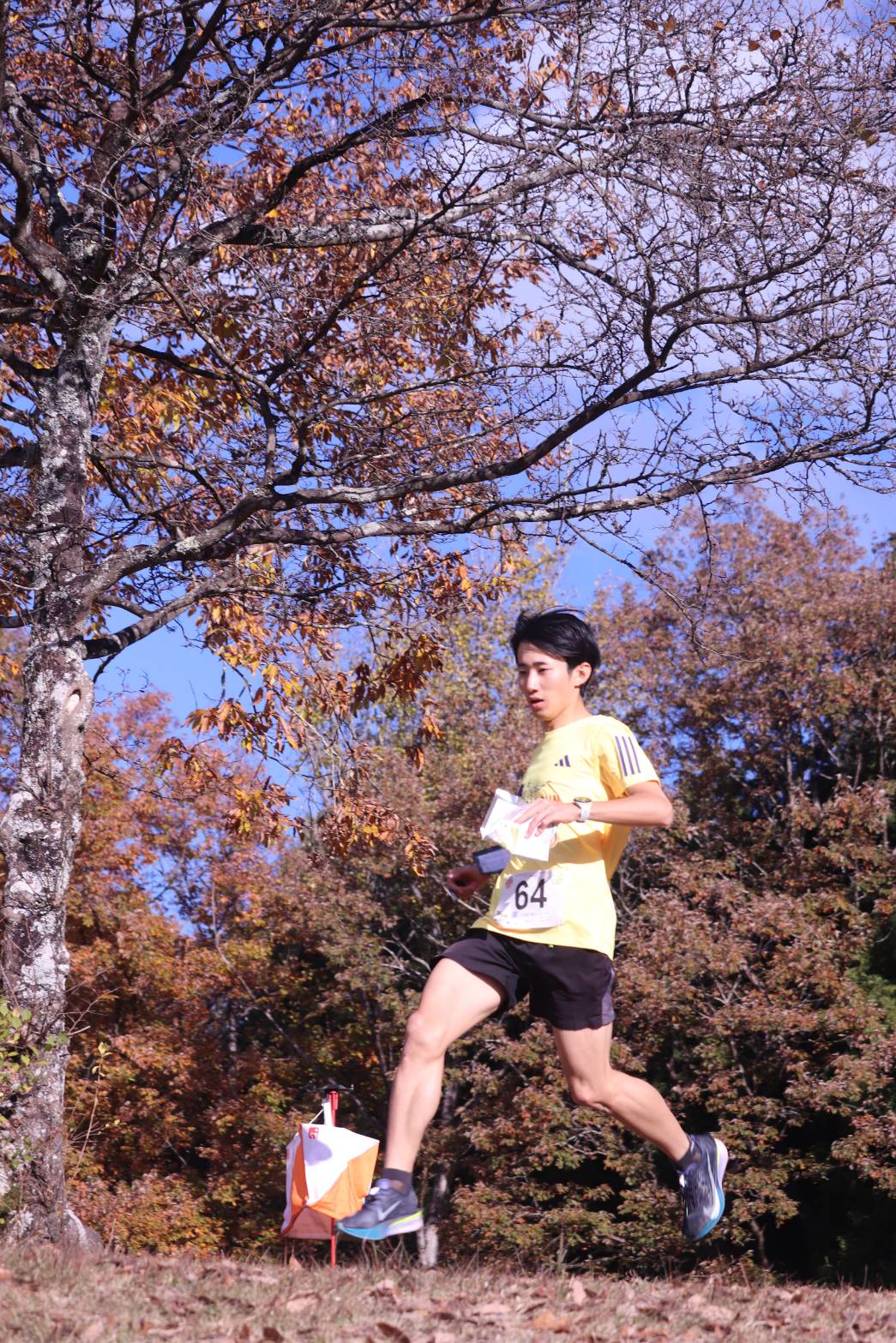 学友会オリエンテーリング部が2025年度全日本学生オリエンテーリング選手権大会で上位入賞